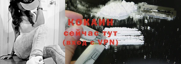 гашик Белокуриха