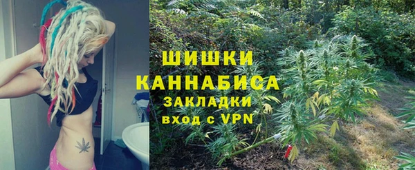 гашик Белокуриха