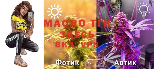 гашик Белоозёрский