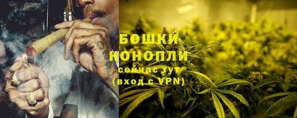 гашик Белокуриха