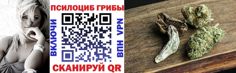 Псилоцибиновые грибы Psilocybine cubensis  Суворов 